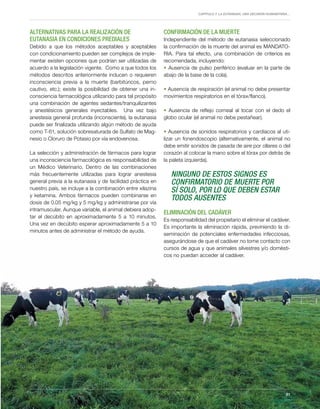 Capítulo 7. La eutanasia, una decisión humanitaria…
61
ALTERNATIVAS PARA LA REALIZACIÓN DE
EUTANASIA EN CONDICIONES PREDIALES
Debido a que los métodos aceptables y aceptables
con condicionamiento pueden ser complejos de imple-
mentar existen opciones que podrían ser utilizadas de
acuerdo a la legislación vigente. Como a que todos los
métodos descritos anteriormente inducen o requieren
inconsciencia previa a la muerte (barbitúricos, perno
cautivo, etc.); existe la posibilidad de obtener una in-
consciencia farmacológica utilizando para tal propósito
una combinación de agentes sedantes/tranquilizantes
y anestésicos generales inyectables. Una vez bajo
anestesia general profunda (inconsciente), la eutanasia
puede ser finalizada utilizando algún método de ayuda
como T-61, solución sobresaturada de Sulfato de Mag-
nesio o Cloruro de Potasio por vía endovenosa.
La selección y administración de fármacos para lograr
una inconsciencia farmacológica es responsabilidad de
un Médico Veterinario. Dentro de las combinaciones
más frecuentemente utilizadas para lograr anestesia
general previa a la eutanasia y de facilidad práctica en
nuestro país, se incluye a la combinación entre xilazina
y ketamina. Ambos fármacos pueden combinarse en
dosis de 0.05 mg/kg y 5 mg/kg y administrarse por vía
intramuscular. Aunque variable, el animal debiera adop-
tar el decúbito en aproximadamente 5 a 10 minutos.
Una vez en decúbito esperar aproximadamente 5 a 10
minutos antes de administrar el método de ayuda.
CONFIRMACIÓN DE LA MUERTE
Independiente del método de eutanasia seleccionado
la confirmación de la muerte del animal es MANDATO-
RIA. Para tal efecto, una combinación de criterios es
recomendada, incluyendo:
• Ausencia de pulso periférico (evaluar en la parte de
abajo de la base de la cola).
• Ausencia de respiración (el animal no debe presentar
movimientos respiratorios en el tórax/flanco).
• Ausencia de reflejo corneal al tocar con el dedo el
globo ocular (el animal no debe pestañear).
• Ausencia de sonidos respiratorios y cardiacos al uti-
lizar un fonendoscopio (alternativamente, el animal no
debe emitir sonidos de pasada de aire por ollares o del
corazón al colocar la mano sobre el tórax por detrás de
la paleta izquierda).
NINGUNO DE ESTOS SIGNOS ES
CONFIRMATORIO DE MUERTE POR
SÍ SOLO, POR LO QUE DEBEN ESTAR
TODOS AUSENTES
ELIMINACIÓN DEL CADÁVER
Es responsabilidad del propietario el eliminar el cadáver.
Es importante la eliminación rápida, previniendo la di-
seminación de potenciales enfermedades infecciosas,
asegurándose de que el cadáver no tome contacto con
cursos de agua y que animales silvestres y/o domésti-
cos no puedan acceder al cadáver.
61
 