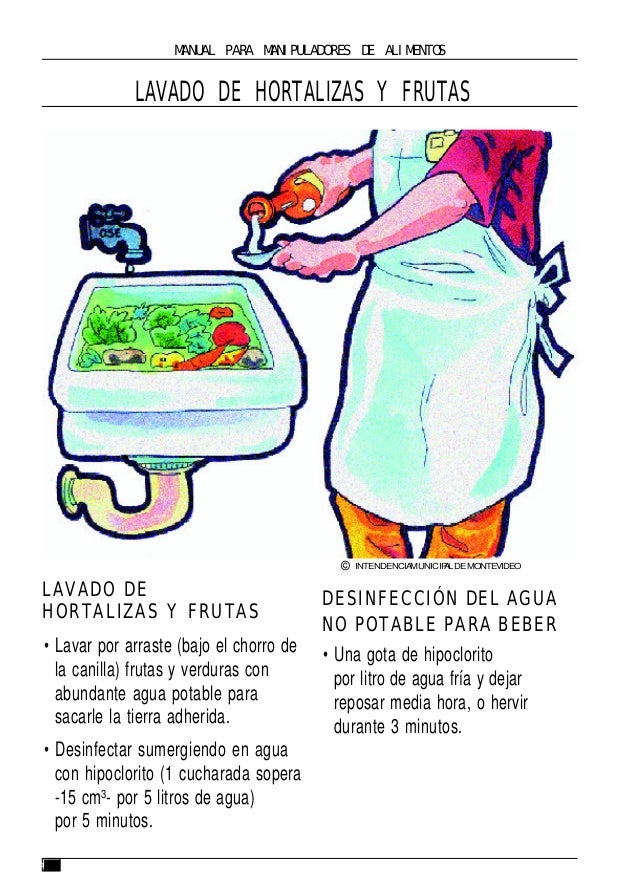 Manual de manipulacion de alimentos pdf
