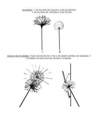 PLUMEROS: 1. DE PLUMAS DE GALLINA O DE GUAJOLOTE
2. DE PLUMAS DE AVESTRUZ O DE ÑANDU
MANEJO DE PLUMEROS: PARA SACAR POLVO Y TELA DE ARAÑA DETRAS DE MUEBLES Y
CUADROS DE RINCONES DE TECHOS Y PAREDES.
 