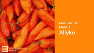 1
MANUAL DE
MARCA
Allyku
División de Innovación y
Marketing
 