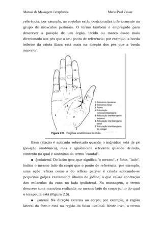 Manual de Massagem Terapêutica                         Mario-Paul Cassar

referência; por exemplo, as costelas estão posicionadas inferiormente ao
grupo de músculos peitorais. O termo também é empregado para
descrever a posição de um órgão, tecido ou marco ósseo mais
direcionado aos pés que a seu ponto de referência; por exemplo, a borda
inferior da crista ilíaca está mais na direção dos pés que a borda
superior.




     Essa relação é aplicada sobretudo quando o indivíduo está de pé
(posição anatômica), mas é igualmente relevante quando deitado,
contexto no qual é sinônimo do termo "caudal".
     ■ Ipsilateral. Do latim ipse, que significa "o mesmo", e latus, "lado".
Indica o mesmo lado do corpo que o ponto de referência; por exemplo,
uma ação reflexa como a do reflexo patelar é criada aplicando-se
pequenos golpes exatamente abaixo do joelho, o que causa contração
dos músculos da coxa no lado ipsilateral. Na massagem, o termo
descreve uma manobra realizada no mesmo lado do corpo junto do qual
o terapeuta está (Figura 2.5).
     ■   Lateral. Na direção externa ao corpo; por exemplo, a região
lateral do fêmur está na região da faixa iliotibial. Neste livro, o termo
 