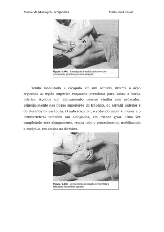 Manual de Massagem Terapêutica Mario-Paul Cassar
Tendo mobilizado a escápula em um sentido, inverta a ação
erguendo a região superior enquanto pressiona para baixo a borda
inferior. Aplique um alongamento passivo similar nos músculos,
principalmente nas fibras superiores do trapézio, do serrátil anterior e
do elevador da escápula. O subescápular, o redondo maior e menor e o
intravertebral também são alongados, em menor grau. Uma vez
completado esse alongamento, repita todo o procedimento, mobilizando
a escápula em ambas as direções.
 