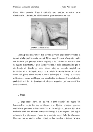 Manual de Massagem Terapêutica Mario-Paul Cassar
ilíaca. Uma pressão firme é aplicada com ambas as mãos para
identificar o tamanho, os contornos e o grau de dureza do rim.
Vale a pena notar que o rim direito às vezes pode estar próximo à
parede abdominal (anteriormente). Nesta posição, seu pólo maior pode
ser saliente (em pessoas muito magras) e não facilmente diferenciável
do fígado. Entretanto, o pólo inferior do rim é mais arredondado que o
da borda do fígado e, além disso, não se estende medial ou
lateralmente. A dilatação do rim pode indicar hidronefrose (acúmulo de
urina na pelve renal devido a uma obstrução do fluxo). A doença
policística é outro problema com resultados similares. A sensibilidade
pode indicar infecção. Qualquer sinal dessa espécie exige exame médico
mais detalhado.
O baço
O baço mede cerca de 12 cm e está situado na região do
hipocôndrio esquerdo, sob a décima e a décima primeira costela.
Localiza-se posterior e inferiormente ao estômago. A posição do baço
também pode ser descrita entre o estômago e o diafragma. Um órgão
adjacente é o pâncreas; o baço faz o contato com o hilo do pâncreas.
Uma vez que se localiza sob a cobertura das costelas inferiores, o baço
 
