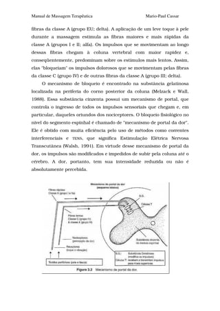 Manual de Massagem Terapêutica                         Mario-Paul Cassar

fibras da classe A (grupo EU; delta). A aplicação de um leve toque à pele
durante a massagem estimula as fibras maiores e mais rápidas da
classe A (grupos I e II; alfa). Os impulsos que se movimentam ao longo
dessas fibras chegam à coluna vertebral com maior rapidez e,
conseqüentemente, predominam sobre os estímulos mais lentos. Assim,
elas "bloqueiam" os impulsos dolorosos que se movimentam pelas fibras
da classe C (grupo IV) e de outras fibras da classe A (grupo III; delta).
     O mecanismo de bloqueio é encontrado na substância gelatinosa
localizada na periferia do corno posterior da coluna (Melzack e Wall,
1988). Essa substância cinzenta possui um mecanismo de portal, que
controla o ingresso de todos os impulsos sensoriais que chegam e, em
particular, daqueles oriundos dos nociceptores. O bloqueio fisiológico no
nível do segmento espinhal é chamado de "mecanismo de portal da dor".
Ele é obtido com muita eficiência pelo uso de métodos como correntes
interferenciais e   TENS,   que significa Estimulação Elétrica Nervosa
Transcutânea (Walsh, 1991). Em virtude desse mecanismo de portal da
dor, os impulsos são modificados e impedidos de subir pela coluna até o
cérebro. A dor, portanto, tem sua intensidade reduzida ou não é
absolutamente percebida.
 