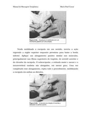 Manual de Massagem Terapêutica                      Mario-Paul Cassar




     Tendo mobilizado a escápula em um sentido, inverta a ação
erguendo a região superior enquanto pressiona para baixo a borda
inferior. Aplique um alongamento passivo similar nos músculos,
principalmente nas fibras superiores do trapézio, do serrátil anterior e
do elevador da escápula. O subescápular, o redondo maior e menor e o
intravertebral também são alongados, em menor grau. Uma vez
completado esse alongamento, repita todo o procedimento, mobilizando
a escápula em ambas as direções.
 