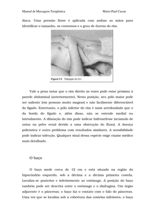 Manual de Massagem Terapêutica                      Mario-Paul Cassar

ilíaca. Uma pressão firme é aplicada com ambas as mãos para
identificar o tamanho, os contornos e o grau de dureza do rim.




     Vale a pena notar que o rim direito às vezes pode estar próximo à
parede abdominal (anteriormente). Nesta posição, seu pólo maior pode
ser saliente (em pessoas muito magras) e não facilmente diferenciável
do fígado. Entretanto, o pólo inferior do rim é mais arredondado que o
da borda do fígado e, além disso, não se estende medial ou
lateralmente. A dilatação do rim pode indicar hidronefrose (acúmulo de
urina na pelve renal devido a uma obstrução do fluxo). A doença
policística é outro problema com resultados similares. A sensibilidade
pode indicar infecção. Qualquer sinal dessa espécie exige exame médico
mais detalhado.




     O baço


     O baço mede cerca de 12 cm e está situado na região do
hipocôndrio esquerdo, sob a décima e a décima primeira costela.
Localiza-se posterior e inferiormente ao estômago. A posição do baço
também pode ser descrita entre o estômago e o diafragma. Um órgão
adjacente é o pâncreas; o baço faz o contato com o hilo do pâncreas.
Uma vez que se localiza sob a cobertura das costelas inferiores, o baço
 