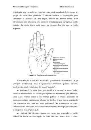 Manual de Massagem Terapêutica                        Mario-Paul Cassar

referência; por exemplo, as costelas estão posicionadas inferiormente ao
grupo de músculos peitorais. O termo também é empregado para
descrever a posição de um órgão, tecido ou marco ósseo mais
direcionado aos pés que a seu ponto de referência; por exemplo, a borda
inferior da crista ilíaca está mais na direção dos pés que a borda
superior.




     Essa relação é aplicada sobretudo quando o indivíduo está de pé
(posição anatômica), mas é igualmente relevante quando deitado,
contexto no qual é sinônimo do termo "caudal".
       Ipsilateral. Do latim ipse, que significa "o mesmo", e latus, "lado".
Indica o mesmo lado do corpo que o ponto de referência; por exemplo,
uma ação reflexa como a do reflexo patelar é criada aplicando-se
pequenos golpes exatamente abaixo do joelho, o que causa contração
dos músculos da coxa no lado ipsilateral. Na massagem, o termo
descreve uma manobra realizada no mesmo lado do corpo junto do qual
o terapeuta está (Figura 2.5).
         Lateral. Na direção externa ao corpo; por exemplo, a região
lateral do fêmur está na região da faixa iliotibial. Neste livro, o termo
 