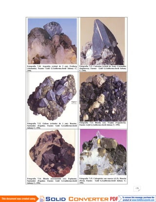 170
Fotografía 7.10. Argentita (cristal de 2 cm). Freiberg
(Alemania). Fuente: Gold G.Guillermo-Jordi Jubany C;
1994.
Fotografía 7.11. Calcosina (cristal de 2cm). Cornualles
(Inglaterra). Fuente: Gold G.Guillermo-Jordi Jubany
C; 1994.
Fotografía 7.12. Galena (cristales de 1 cm). Reocinc.
Santander (España). Fuente: Gold G.Guillermo-Jordi
Jubany C; 1994.
Fotografía 7.13. Blenda (x2). Trepka (Yugoslavia).
Fuente: Gold G.Guillermo-Jordi Jubany C; 1994.
Fotografía 7.14. Blenda acaramelada (x1). Espinema.
Santander (España). Fuente: Gold G.Guillermo-Jordi
Jubany C; 1994.
Fotografía 7.15. Calcopirita con cuarzo (x1.5). Huarón
(Perú). Fuente: Gold G.Guillermo-Jordi Jubany C;
1994.
 