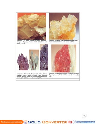 178
Fotografia 7.43. Halita (cristales de 5cm). Remolinos ,
Zaragoza (España). Fuente: Gold G.Guillermo-Jordi
Jubany C; 1994.
Fotografía 7.44. Silvita (7cm). Salón sea. California (USA)
Fuente: Gold G.Guillermo-Jordi Jubany C; 1994.
Fotografía 7.45. Izquierda, fluorita (x0.5).Berbes. Asturias
(España). Centro, fluorita (x1).San Cugat, Barcelona
(España). Derecha, fluorita (x0.5). Cumberland (Inglaterra)
Fuente: Gold G.Guillermo-Jordi Jubany C; 1994.
Fotografía 7.46. Carnalita con halita (x1). Suria, Barcelona
(España). Fuente: Gold G.Guillermo-Jordi Jubany C;
1994.
 