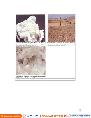 183
Fotografía 7.63. Titalconita (10cm). Boron Lake (USA). La
titalconita se forma por deshidratación del Borax. Fuente:
Gold G.Guillermo-Jordi Jubany C; 1994.
Fotografía 7.64. Explotación de boratos. Salar de
Canchari. La Puna (Argentina). Fuente: Gold
G.Guillermo-Jordi Jubany C; 1994.
Fotografía 7.65. Colemanita (x1). Guleiman (Turquía). Fuente:
Gold G.Guillermo-Jordi Jubany C; 1994.
 