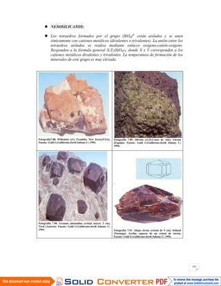 191
NESOSILICATOS:
Los tetraedros formados por el grupo (SiO4)4-
están aislados y se unen
iónicamente con cationes metálicos (divalentes o trivalentes). La unión entre los
tetraedros aislados se realiza mediante enlaces oxígeno-catión-oxígeno.
Responden a la fórmula general X3Y2(SiO4)3, donde X e Y corresponden a los
cationes metálicos divalentes y trivalentes. La temperatura de formación de los
minerales de este grupo es muy elevada.
Fotografía7.88. Willemita (x1). Franklin. New Jersey(USA).
Fuente: Gold G.Guillermo-Jordi Jubany C; 1994.
Fotografía 7.89. Olivino (x1,5).Canet de Adri. Girona
(España). Fuente: Gold G.Guillermo-Jordi Jubany C;
1994.
Fotografía 7.90. Granate almandino (cristal mayor 3 cm).
Tirol (Austria). Fuente: Gold G.Guillermo-Jordi Jubany C;
1994. Fotografía 7.91. Abajo circón (cristal de 5 cm). Seiland
(Noruega). Arriba, aspecto de un cristal de circón.
Fuente: Gold G.Guillermo-Jordi Jubany C; 1994.
 