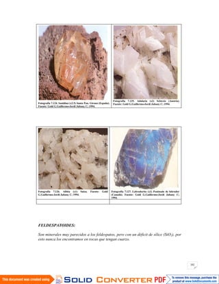 202
Fotografía 7.124. Sanidina (x2.5) Santa Pau. Girona (España).
Fuente: Gold G.Guillermo-Jordi Jubany C; 1994.
Fotografía 7.125. Adularia (x2) Schweiz (Austria).
Fuente: Gold G.Guillermo-Jordi Jubany C; 1994.
Fotografía 7.126. Albita (x1) Suiza. Fuente: Gold
G.Guillermo-Jordi Jubany C; 1994.
Fotografía 7.127. Labradorita (x2) Península de labrador
(Canadá). Fuente: Gold G.Guillermo-Jordi Jubany C;
1994.
FELDESPATOIDES:
Son minerales muy parecidos a los feldespatos, pero con un déficit de sílice (SiO2), por
esto nunca los encontramos en rocas que tengan cuarzo.
 