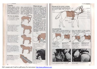 Manual De Modelismo