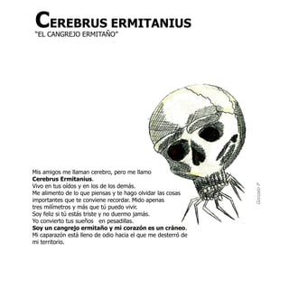 CEREBRUS ERMITANIUS
 “EL CANGREJO ERMITAÑO”




Mis amigos me llaman cerebro, pero me llamo
Cerebrus Ermitanius.
Vivo en tus oídos y en los de los demás.




                                                              Gonzalo P
Me alimento de lo que piensas y te hago olvidar las cosas
importantes que te conviene recordar. Mido apenas
tres milímetros y más que tú puedo vivir.
Soy feliz si tú estás triste y no duermo jamás.
Yo convierto tus sueños en pesadillas.
Soy un cangrejo ermitaño y mi corazón es un cráneo.
Mi caparazón está lleno de odio hacia el que me desterró de
mi territorio.
 