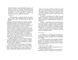 dedo. Quitaremos el papel plateado protector y pe-
   garemos el parche a la cámara presionando fuerte-          trasero con la mano derecha y tirando de la rueda
   mente del centro a los lados para evitar la formación      con la otra mano hasta que encaje en las punteras.
   de burbujas. Por último, retiraremos el celofán. Es-       Por último, antes de apretar, nos fijaremos que la
   peraremos un rato e hincharemos la cámara para             rueda quede centrada con respecto al cuadro, es decir,
   comprobar que la colocación ha sido buena.                 que haya la misma distancia a ambos lados entre
                                                              rueda y cuadro.
   4. MONTAJE
                                                                 Si alguna vez pinchamos y no tenemos con qué
        Antes de montar la cubierta pasaremos la mano        arreglar el pinchazo, como último recurso podemos
    por el interior, para asegurarnos que la causa del       llenar la cubierta de hierbajos; llenándola bien po-
    pinchazo ya no está, o en caso de dar con ella, eli-     dremos rodar unos cuandos kilómetros sin dañar nin-
    minarla.                                                 guna pieza.
  Primero colocaremos un lado de la cubierta. Después            El saber no ocupa lugar, pero sin duda lo mejor
  hincharemos un poco la cámara para darle cuerpo y la      es no pinchar nunca. Como prevención, actualmente
  introduciremos dentro de la cubierta sin retorcerla.      existen dos métodos: el primero es una cinta de kevlar
  Hecho esto, comenzaremos a colocar el otro lado de la     que, colocada entre la cubierta y la cámara, la protege
  cubierta, empezando por la parte de la válvula.           del pinchazo. La otra consiste en un producto llamado
  Cuando hayamos metido unos centímetros a cada             Tvretite, que se insufla en el interior de la cámara
  lado de la válvula, la empujaremos hacia dentro para      y rellena los pinchazos cuando se producen, haciendo
  que se coloque correctamente. Seguiremos metiendo la      innecesario cualquier arreglo.
  cubierta con las manos (con cuidado de no pellizcar la
  cámara), si es posible hasta el final. Si no podemos,     3.2.2. Frenos
  recurriremos a los desmontadores, pero deberemos
  tener mucho cuidado de no pillar la cámara. Los               La explicación va a centrarse en los frenos can-
  de plástico son más seguros, porque no tienen «filo»      tilever, ya que son los más difundidos con diferencia;
  en el extremo como los metálicos.                         no obstante, lo dicho es aplicable casi en su totalidad
      Cuando la cubierta ya esté totalmente metida en       a los U-Brake.
 la llanta hincharemos un poco la rueda y compro-               Los cables de los frenos están sometidos a grandes
 baremos por última vez que su colocación es correcta       tensiones. De su perfecto estado depende nuestra se-
 por ambos lados. Después de realizado esto, hincha-        guridad. No cometáis el error de esperar a que se
 remos a la presión adecuada.                               acaben rompiendo (el susto puede ser fatal); aunque
     Para volver a colocar la rueda trasera (la delantera   no es frecuente, ocurre.
no tiene problemas), debemos hacer que el piñón             1. RETIRADA DEL CABLE ANTIGUO
quede entre la parte de arriba y la de abajo de la              Para desmontar el cable comenzaremos por li-
cadena. Luego engranaremos la parte superior en la          berarlo del portador del cable.
corona más pequeña, echando hacia atrás el desviador            Luego lo cortaremos para que la zona que ha
                                                            estado aprisionada no se enganche en las fundas y
 