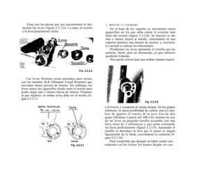 Estas son las piezas que nos encontramos al des-       2. MONTAJE Y1 CENTRADO
montar las levas (figura 3.2.2.6). La tapa, el resorte         En la base de los soportes se encuentran varios
y la leva propiamente dicha.                               agujerillos en los que debe entrar el extremo más
                                                           lanío del resorte (figura 3.2.2.8). Su función es dar
                                                           más o menos fuerza al muelle, colocándolo en uno
                                                           superior daremos más tensión de retorno, y viceversa.
                                                           Lo normal es utilizar los intermedios.
                                                               Pondremos las levas apretando el tornillo que las
                                                           sostiene, fuerte, pero no demasiado, ya que entonces
                                                           quedarán trabadas.
                                                               Nos queda centrar para que ambas zapatas toquen




    Las levas Shimano están pensadas para actuar
con las manetas SLR (Shimano Lineal Respuse) que
necesitan menor presión de retorno. Sin embargo, las
levas tienen dos agureiillos donde entra el resorte para
poder elegir más o menos fuerza de retorno. Elijamos
el que elijamos, en ambas levas debe ser el mismo (fi-
gura 3.2.2.7).

                                                           a la llanta y recuperen al mismo tiempo. En los grupos
                                                           interiores, la única posibilidad de centrar está en cam-
                                                           biar de agujero el resorte de la leva. Los de alta
                                                           gama (Shimano a partir del 400 LX) montan en una
                                                           de las levas un pequeño tornillo accesible con una
                                                           llave alien de 2 milímetros y que actúa centrando
                                                           ías levas perfectamente (figura 3.2.2.9). Apretando el
                                                           tornillo (a derechas) la leva que lo posee se alejará
                                                           ligeramente de la llanta, acercándose la contraria (fi-
                                                           gura 3.2.2.10).
                                                               Para comprobar que después de haber estado «en-
                                                           redando» en los frenos los hemos dejado en con-
 