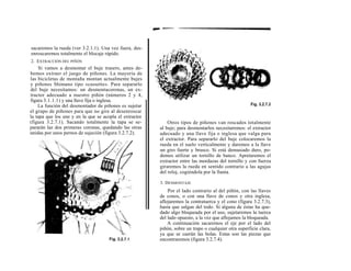 sacaremos la rueda (ver 3.2.1.1). Una vez fuera, des-
enroscaremos totalmente el blocaje rápido.
2. EXTRACCIÓN DEL PIÑÓN
     Si vamos a desmontar el buje trasero, antes de-
bemos extraer el juego de piñones. La mayoría de
las bicicletas de montaña montan actualmente bujes
y piñones Shimano tipo «cassette». Para separarlo
del buje necesitamos: un desmontacoronas, un ex-
tractor adecuado a nuestro piñón (números 2 y 4,
figura 3.1.1.1) y una llave fija o inglesa.
    La función del desmontador de piñones es sujetar
el grupo de piñones para que no gire al desenroscar
la tapa que los une y en la que se acopla el extractor
(figura 3.2.7.1). Sacando totalmente la tapa se se-          Otros tipos de piñones van roscados totalmente
pararán las dos primeras coronas, quedando las otras     al buje; para desmontarlos necesitaremos: el extractor
unidas por unos pernos de sujeción (figura 3.2.7.2).     adecuado y una llave fija o inglesa que valga para
                                                         el extractor. Para separarlo del buje colocaremos la
                                                         rueda en el suelo verticalmente y daremos a la llave
                                                         un giro fuerte y brusco. Si está demasiado duro, po-
                                                         demos utilizar un tornillo de banco. Apretaremos el
                                                         extractor entre las mordazas del tornillo y con fuerza
                                                         giraremos la rueda en sentido contrario a las agujas
                                                         del reloj, cogiéndola por la llanta.

                                                         3. DESMONTAJE
                                                             Por el lado contrario al del piñón, con las llaves
                                                         de conos, o con una llave de conos y otra inglesa,
                                                         aflojaremos la contratuerca y el cono (figura 3.2.7.3),
                                                         hasta que salgan del todo. Si alguna de éstas ha que-
                                                         dado algo bloqueada por el uso, sujetaremos la tuerca
                                                         del lado opuesto, a la vez que aflojamos la bloqueada.
                                                             A continuación sacaremos el eje por el lado del
                                                         piñón, sobre un trapo o cualquier otra superficie clara,
                                                         ya que se caerán las bolas. Estas son las piezas que
                                                         encontraremos (figura 3.2.7.4).
 