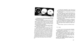 Un punto muy importante y que a veces no se
                                                                      tiene en cuenta es el ajuste, un casco mal ajustado
                                                                      no cumple su función, probablemente se caerá en
                                                                      el primer impacto.
                                                                         Para lograr que el casco quede perfectamente ajus-
                                                                     tado, primero deberemos elegir la talla correcta (no
                                                                     todos los modelos disponen de varias tallas); luego
                                                                     colocaremos los acolchados interiores incluidos en to-
                                                                     dos los modelos, de modo que el casco no baile en
                                                    Fig. 4.2.1.1     la cabeza, y por último daremos la longitud correcta
          Poliestireno con cobertura externa rígida, que suele       a los anclajes. Éstos no deben quedar sueltos, pero
     ser de policarbonato; son los más resistentes, aunque           tampoco han de agobiar.
     también los más pesados.                                            La utilización de casco protector es obligatoria
         Poliestireno expandido con funda de licra, los más         en todas las competiciones de bicicleta de montaña,
    ligeros y algo menos resistentes que los anteriores.            pero su uso no debe estar restringido a ellas. La
    Con resistencia queremos decir que ante una fuerte              caída puede tener lugar en cualquier momento, y el
    caída probablemente se rompa en pedazos, pero no                suelo está igual de duro montemos por donde mon-
    por ello disminuye la protección. Su rotura indica              temos.
    una buena absorción del impacto.                                    Póntelo siempre, y procura no «utilizarlo» nunca.
        Poliestireno expandido con capa exterior semirrí-
    gida. Están entre los más ligeros, su ventaja radica
    en la capa plástica semirrígida.                                4.2.2. Gafas
       ¿Cuál es su función? Se ha comprobado que cuando
   la cabeza arrastra por el suelo en una caída, si el
   casco no es capaz de resbalar se pueden ocasionar                    Los ojos son una de las partes más vulnerables
   graves lesiones cervicales. La funda de licra, aparte            del nuestro cuerpo, y por tanto debemos de adoptar
   de su función decorativa, sirve para evitar la frenada           especial cuidado en su protección.
  que produciría el poliestireno por sí solo, aunque                   Montando en bicicleta nuestros ojos se ven ex-
  la funda quema rápidamente. De ahí que un casco                  puestos directamente al viento, el polvo, el agua, el
  con funda nunca se deba utilizar sin ella. La cobertura          barro, o cualquier otra partícula volante, como nues-
   semirrígida de los cascos de última generación está             tros «amigos» los insectos. Unas gafas adecuadas ade-
                                                                   más nos deben proteger de los dañinos rayos UV
   pensada especialmente para esto, el casco resbalará
                                                                   que pueden dañar nuestra retina.
  al arrastrar la cabeza por el suelo. El policarbonato                En principio, cualquier gafa puede valer, pero si
 también resbala, pero aumenta el peso casi al doble.              buscamos una verdadera protección tendremos que
i 50                                                               buscar algo más específico.

                                                                                                                    151
 
