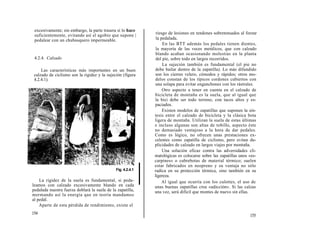 excesivamente; sin embargo, la parte trasera sí lo hace
 suficientemente, evitando así el agobio que supone |         riesgo de lesiones en tendones sobretensados al forzar
 pedalear con un chubasquero impermeable.                     la pedalada.
                                                                  En las BTT además los pedales tienen dientes,
                                                              la mayoría de las veces metálicos, que con calzado
                                                              blando acaban ocasionando molestias en la planta
 4.2.4. Calzado                                               del pie, sobre todo en largos recorridos.
                                                                  La sujeción también es fundamental (el pie no
     Las características más importantes en un buen          debe bailar dentro de la zapatilla). Lo más difundido
 calzado de ciclismo son la rigidez y la sujeción (figura    son los cierres velero, cómodos y rápidos; otros mo-
 4.2.4.1).                                                   delos constan de los típicos cordones cubiertos con
                                                             una solapa para evitar enganchones con los rástrales.
                                                                  Otro aspecto a tener en cuenta en el calzado de
                                                             bicicleta de montaña es la suela, que al igual que
                                                             la bici debe ser todo terreno, con tacos altos y es-
                                                             paciados.
                                                                  Existen modelos de zapatillas que suponen la sín-
                                                             tesis entre el calzado de bicicleta y la clásica bota
                                                             ligera de montaña. Utilizan la suela de estas últimas
                                                             e incluso algunas son altas de tobillo, aspecto éste
                                                             no demasiado ventajoso a la hora de dar pedales.
                                                             Como es lógico, no ofrecen unas prestaciones ex-
                                                             celentes como zapatilla de ciclismo, pero evitan du-
                                                             plicidades de calzado en largos viajes por montaña.
                                                                  Una solución eficaz contra las adversidades cli-
                                                             matológicas es colocarse sobre las zapatillas unos «es-
                                                             carpines» o cubrebotas de material térmico; suelen
                                                             estar fabricados en neopreno y su ventaja no sólo
                                              Fig. 4.2.4.1   radica en su protección térmica, sino también en su
                                                             ligereza.
    La rigidez de la suela es fundamental, si peda-               Al igual que ocurría con los culottes, el uso de
leamos con calzado excesivamente blando en cada              unas buenas zapatillas crea «adicción». Si las calzas
pedalada nuestra fuerza doblará la suela de la zapatilla,    una vez, será difícil que montes de nuevo sin ellas.
mermando así la energía que en teoría mandamos
al pedal.
    Aparte de esta pérdida de rendimiento, existe el
154                                                                                                             155
 