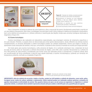 MANUALDENECROPSIA 21
A
Figura 34 - Exemplo de colheita, acondicionamento
e envio de amostras para exame microbiológico:
A)	Acondicione as amostras em local adequado
conforme o tipo de material (sacos plásticos,
seringas, frascos coletores, etc).
B)	Acomode as amostras em caixa isotérmica
contendo gelo reciclável e identificação
C)	Símbolo das Nações Unidas (amostras biológicas).
	 Para o transporte, na tampa ou laterais da caixa isotérmica, afixe a requisição de exame, devidamente preenchida e inserida em
um saco plástico transparente. Além disso, a embalagem terciária deve conter nome, endereço e telefone do remetente e destinatário,
bem como telefone de emergência e o símbolo referente à classificação das Nações Unidas para amostras biológicas destinadas a
diagnóstico (Figura 34).
	 8.3 Exame toxicológico
	 Exames toxicológicos são realizados em laboratórios especializados, que empregam sistemas de isolamento específicos e
de custo elevado. Portanto, a suspeita deve ser direcionada para evitar gastos desnecessários. Ainda, diferente dos demais exames
complementares, as amostras destinadas à análise toxicológica podem ser colhidas tardiamente, mesmo que órgãos e tecidos já
apresentem sinais avançados de autólise, visto que, comumente, a substância alvo (toxina) é mantida nos tecidos por longos períodos.
	 De modo geral, para exames toxicológicos, colha amostras de fígado, rim e conteúdo estomacal; mas, a depender do local
de ação da toxina, pode ser necessária a colheita direcionada de órgãos, como SNC, pele e pulmão. Recomenda-se a colheita de
50 a 100 gramas de cada amostra, considerando que muitas vezes são realizadas provas e contraprovas. O material colhido deve
ser acondicionado de forma semelhante à descrita para aquele destinado a exames microbiológicos, podendo ser remetido em
temperatura ambiente, resfriado ou congelado (Figura 35).
Figura 35 - Amostras de conteúdo ruminal, fígado
e intestino para identificação da toxina botulínica.
IMPORTANTE: além da colheita de secreções, órgãos e tecidos, poderá ser útil também a colheita de alimentos, como ração, grãos,
forragens secas, restos de cultura, palhadas e suplementos. Neste material podem ser realizadas análises químicas e pesquisa de
agentes relacionados à enfermidade do animal. Nos quadros tóxicos em que a via de acesso ao organismo é a digestiva e o animal
apresenta vômito, o conteúdo deste também representa amostra útil para análise e identificação e/ou quantificação do agente.
CB
 