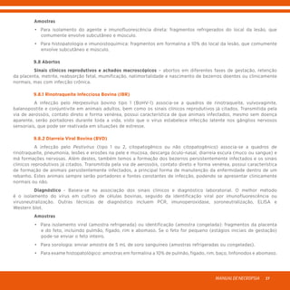MANUALDENECROPSIA 27
	 Amostras
	 •	 Para isolamento do agente e imunofluorescência direta: fragmentos refrigerados do local da lesão, que
comumente envolve subcutâneo e músculo.
	 •	 Para histopatologia e imunoistoquímica: fragmentos em formalina a 10% do local da lesão, que comumente
envolve subcutâneo e músculo.
	 9.8 Abortos
	 Sinais clínicos reprodutivos e achados macroscópicos – abortos em diferentes fases de gestação, retenção
da placenta, metrite, reabsorção fetal, mumificação, natimortalidade e nascimento de bezerros doentes ou clinicamente
normais, mas com infecção crônica.
	 9.8.1 Rinotraqueíte Infecciosa Bovina (IBR)
	 A infecção pelo Herpesvírus bovino tipo 1 (BoHV-1) associa-se a quadros de rinotraqueíte, vulvovaginite,
balanopostite e conjuntivite em animais adultos, bem como os sinais clínicos reprodutivos já citados. Transmitida pela
via de aerossóis, contato direto e forma venérea, possui característica de que animais infectados, mesmo sem doença
aparente, serão portadores durante toda a vida, visto que o vírus estabelece infecção latente nos gânglios nervosos
sensoriais, que pode ser reativada em situações de estresse.
	 9.8.2 Diarreia Viral Bovina (BVD)
	 A infecção pelo Pestivírus (tipo 1 ou 2, citopatogênico ou não citopatogênico) associa-se a quadros de
rinotraqueíte, pneumonia, lesões e erosões na pele e mucosa, descarga óculo-nasal, diarreia escura (muco ou sangue) e
má formações nervosas. Além destes, também temos a formação dos bezerros persistentemente infectados e os sinais
clínicos reprodutivos já citados. Transmitida pela via de aerossóis, contato direto e forma venérea, possui característica
de formação de animais persistentemente infectados, a principal forma de manutenção da enfermidade dentro de um
rebanho. Estes animais sempre serão portadores e fontes constantes de infecção, podendo se apresentar clinicamente
normais ou não.
	Diagnóstico - Baseia-se na associação dos sinais clínicos e diagnóstico laboratorial. O melhor método
é o isolamento do vírus em cultivo de células bovinas, seguido da identificação viral por imunofluorescência ou
virusneutralização. Outras técnicas de diagnóstico incluem PCR, imunoperoxidase, soroneutralização, ELISA e
Western blot.
	Amostras
	 •	 Para isolamento viral (amostra refrigerada) ou identificação (amostra congelada): fragmentos da placenta
e do feto, incluindo pulmão, fígado, rim e abomaso. Se o feto for pequeno (estágios iniciais de gestação)
pode-se enviar o feto inteiro.
	 •	 Para sorologia: enviar amostra de 5 mL de soro sanguíneo (amostras refrigeradas ou congeladas).
	 •	 Para exame histopatológico: amostras em formalina a 10% de pulmão, fígado, rim, baço, linfonodos e abomaso.
 
