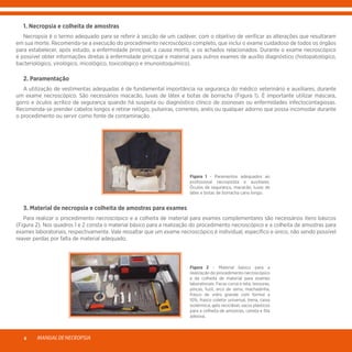 MANUALDENECROPSIA6
	 1. Necropsia e colheita de amostras
	 Necropsia é o termo adequado para se referir à secção de um cadáver, com o objetivo de verificar as alterações que resultaram
em sua morte. Recomenda-se a execução do procedimento necroscópico completo, que inclui o exame cuidadoso de todos os órgãos
para estabelecer, após estudo, a enfermidade principal, a causa mortis, e os achados relacionados. Durante o exame necroscópico
é possível obter informações diretas à enfermidade principal e material para outros exames de auxílio diagnóstico (histopatológico,
bacteriológico, virológico, micológico, toxicológico e imunoistoquímico).
	 2. Paramentação
	 A utilização de vestimentas adequadas é de fundamental importância na segurança do médico veterinário e auxiliares, durante
um exame necroscópico. São necessários macacão, luvas de látex e botas de borracha (Figura 1). É importante utilizar máscara,
gorro e óculos acrílico de segurança quando há suspeita ou diagnóstico clínico de zoonoses ou enfermidades infectocontagiosas.
Recomenda-se prender cabelos longos e retirar relógio, pulseiras, correntes, anéis ou qualquer adorno que possa incomodar durante
o procedimento ou servir como fonte de contaminação.
Figura 1 - Paramentos adequados ao
profissional necropsista e auxiliares.
Óculos de segurança, macacão, luvas de
látex e botas de borracha cano longo.
	 3. Material de necropsia e colheita de amostras para exames
	 Para realizar o procedimento necroscópico e a colheita de material para exames complementares são necessários itens básicos
(Figura 2). Nos quadros 1 e 2 consta o material básico para a realização do procedimento necroscópico e a colheita de amostras para
exames laboratoriais, respectivamente. Vale ressaltar que um exame necroscópico é individual, específico e único, não sendo possível
reaver perdas por falta de material adequado.
Figura 2 - Material básico para a
realização do procedimento necroscópico
e da colheita de material para exames
laboratoriais. Facas curva e reta, tesouras,
pinças, fuzil, arco de serra, machadinha,
frasco de vidro grande com formol a
10%, frasco coletor universal, trena, caixa
isotérmica, gelo reciclável, sacos plásticos
para a colheita de amostras, caneta e fita
adesiva.
 