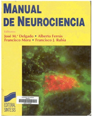 Manual de neurociencia