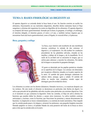 MÓDULO I: BASES FISIOLÓGICAS Y METABÓLICAS DE LA NUTRICIÓN
TEMA I: BASES FISIOLÓGICAS DIGESTIVAS
1
TEMA I: BASES FISIOLÓGICAS DIGESTIVAS
El aparato digestivo se extiende desde la boca hasta el ano. Su función consiste en recibir los
alimentos, fraccionarlos en sus nutrientes (digestión), absorber dichos nutrientes hacia el flujo
sanguíneo y eliminar del organismo los restos no digeribles de los alimentos. El aparato digestivo
se compone del tracto gastrointestinal, formado por la boca, la garganta, el esófago, el estómago,
el intestino delgado, el intestino grueso, el recto y el ano, y también incluye órganos que se
encuentran fuera del tracto gastrointestinal, como el hígado, la vesícula biliar y el páncreas.
Boca, garganta y esófago
La boca, cuyo interior está recubierto de una membrana
mucosa, constituye la entrada de dos sistemas: el
digestivo y el respiratorio. En ella acaban los conductos
procedentes de las glándulas salivales, situadas en las
mejillas y debajo de la lengua y de la mandíbula. En el
suelo de la cavidad oral se encuentra la lengua, que se
utiliza para saborear y mezclar los alimentos. Por detrás
de la lengua se encuentra la garganta (faringe).
El gusto es detectado por las papilas gustativas situadas
en la superficie de la lengua. Los aromas son detectados
por receptores olfatorios situados en la parte superior de
la nariz. El sentido del gusto distingue solamente los
sabores dulce, amargo, agrio y salado. El sentido del
olfato es mucho más complejo, siendo capaz de
distinguir gran diversidad de olores.
Los alimentos se cortan con los dientes delanteros, llamados incisivos, y se mastican después con
los molares. De este modo el alimento se desmenuza en partículas más fáciles de digerir. La
saliva que procede de las glándulas salivales recubre estas partículas con enzimas digestivas. Este
es el momento en que comienza la digestión. Entre las comidas, el flujo de saliva elimina las
bacterias que pueden dañar los dientes y causar otros trastornos. La saliva también contiene
anticuerpos y enzimas, como la lisozima, que fraccionan las proteínas y atacan directamente las
bacterias. La deglución se inicia voluntariamente y se continúa de modo automático. Para impedir
que la comida pueda pasar a la tráquea y alcanzar los pulmones, una pequeña lengüeta muscular
llamada epiglotis se cierra y el paladar blando (la zona posterior del techo de la boca) se eleva
para evitar que la comida entre en la nariz.
 