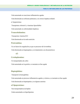 MÓDULO I: BASES FISIOLÓGICAS Y METABÓLICAS DE LA NUTRICIÓN
TEMA IV: METABOLISMO DE LAS PROTEÍNAS
29
Está aumentado en reacciones inflamatorias agudas.
Está disminuido en enfisema pulmonar y en cirrosis hepática infantil.
a1 lipoproteínas:
Transportan colesterol y vitaminas liposolubles
Está aumentado en enfermedades hepáticas
Transcobalamina:
Transportan vitamina B12
Está disminuida en la mala nutrición
Protrombina:
Es un factor de coagulación ya que es precursor de la trombina.
Está disminuida en hepatopatías y en tratamientos con dicumarínicos
a2:
Ceruloplasmina:
Es transportadora de cobre
Está aumentada en la gestión, es reactante en fase aguda
Haptoglobina:
Transporta la hemoglobina
Está aumentada en procesos inflamatorios agudos y crónicos, es reactante en fase aguda
Está disminuida en hepatopatías y en algunas anemias
a2 lipoproteínas:
Son transportadoras de lípidos
Están aumentados en hiperlipemias
 
