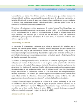 MÓDULO I: BASES FISIOLÓGICAS Y METABÓLICAS DE LA NUTRICIÓN
TEMA VI: METABOLISMO DE LAS VITAMINAS Y MINERALES
45
Las zanahorias son fuentes ricas. El maíz amarillo es el único cereal que contiene caroteno. En
África occidental, se obtiene gran cantidad de caroteno del aceite de palma roja, que se utiliza en
la cocina. El cultivo de la palma de aceite, tan valioso, se ha extendido a otras regiones tropicales.
En Malasia, hay plantaciones extensas como cosecha básica, pero sus productos en vez de
consumirlos localmente son materia de exportación.
El caroteno y la vitamina A resisten temperaturas de cocción bastante bien. Sin embargo, una
considerable cantidad de caroteno se pierde cuando las hojas verdes y otros alimentos se secan al
sol. En las regiones áridas se emplea el método tradicional de secado al sol para conservar las
hojas silvestres y las hortalizas que se utilizan con más frecuencia. Como son comunes las
enfermedades graves por falta de vitamina A en estas áreas, es importante establecer otros
sistemas de preservación.
Absorción y utilización
La conversión de beta-caroteno a vitamina A se realiza en las paredes del intestino. Aún el
intestino más eficiente puede absorber y convertir tan sólo una porción del beta-caroteno de la
dieta; por lo tanto, 6 mg de beta-caroteno en el alimento equivale más o menos a 1 mg de retinol.
Si no se consumen productos animales y el cuerpo debe depender por entero del caroteno para su
provisión de vitamina A, el consumo de caroteno debe ser bastante grande a fin de lograr el nivel
de vitamina A necesario al organismo.
El caroteno se utiliza pobremente cuando la dieta tiene un contenido bajo en grasa, y las dietas
deficientes en vitamina A frecuentemente lo son en grasa. Ciertas enfermedades intestinales
como disentería, enfermedad celíaca y esprue limitan la absorción de vitamina A y la conversión
de caroteno. Los síndromes de malabsorción y las infecciones con parásitos intestinales comunes,
por ejemplo áscaris, que predominan en los trópicos, pueden además reducir la capacidad del
cuerpo para convertir el caroteno en vitamina A. Las sales biliares son indispensables para
absorber la vitamina A y el caroteno, por lo tanto las personas con obstrucción del conducto biliar
quizá sufren carencia de vitamina A. Inclusive en condiciones ideales, los bebés y los niños
pequeños no convierten el caroteno en vitamina A con tanta facilidad como los adultos.
El hígado actúa como el principal depósito de vitamina A en los seres humanos y en casi todos
los vertebrados. Por este motivo, los aceites de hígado de pescado tienen un contenido alto de
esta vitamina. El retinol se transporta del hígado a otros sitios del cuerpo mediante una proteína
específica que se llama proteína fijadora de retinol (PFR). La carencia de ésta proteína puede
influir en el estado de vitamina A y reducir la síntesis de la PFR.
Almacenamiento corporal
 