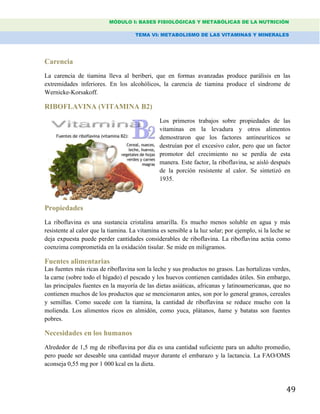 MÓDULO I: BASES FISIOLÓGICAS Y METABÓLICAS DE LA NUTRICIÓN
TEMA VI: METABOLISMO DE LAS VITAMINAS Y MINERALES
49
Carencia
La carencia de tiamina lleva al beriberi, que en formas avanzadas produce parálisis en las
extremidades inferiores. En los alcohólicos, la carencia de tiamina produce el síndrome de
Wernicke-Korsakoff.
RIBOFLAVINA (VITAMINA B2)
Los primeros trabajos sobre propiedades de las
vitaminas en la levadura y otros alimentos
demostraron que los factores antineuríticos se
destruían por el excesivo calor, pero que un factor
promotor del crecimiento no se perdía de esta
manera. Este factor, la riboflavina, se aisló después
de la porción resistente al calor. Se sintetizó en
1935.
Propiedades
La riboflavina es una sustancia cristalina amarilla. Es mucho menos soluble en agua y más
resistente al calor que la tiamina. La vitamina es sensible a la luz solar; por ejemplo, si la leche se
deja expuesta puede perder cantidades considerables de riboflavina. La riboflavina actúa como
coenzima comprometida en la oxidación tisular. Se mide en miligramos.
Fuentes alimentarias
Las fuentes más ricas de riboflavina son la leche y sus productos no grasos. Las hortalizas verdes,
la carne (sobre todo el hígado) el pescado y los huevos contienen cantidades útiles. Sin embargo,
las principales fuentes en la mayoría de las dietas asiáticas, africanas y latinoamericanas, que no
contienen muchos de los productos que se mencionaron antes, son por lo general granos, cereales
y semillas. Como sucede con la tiamina, la cantidad de riboflavina se reduce mucho con la
molienda. Los alimentos ricos en almidón, como yuca, plátanos, ñame y batatas son fuentes
pobres.
Necesidades en los humanos
Alrededor de 1,5 mg de riboflavina por día es una cantidad suficiente para un adulto promedio,
pero puede ser deseable una cantidad mayor durante el embarazo y la lactancia. La FAO/OMS
aconseja 0,55 mg por 1 000 kcal en la dieta.
 