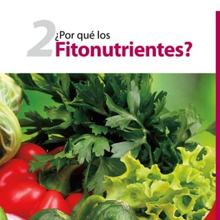 27
2¿Por qué los
Fitonutrientes?
 