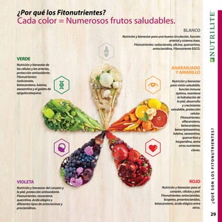 29¿QUÉSONLOSFITONUTRIENTES?
VERDE
Nutrición y bienestar de
las células y las arterias,
protección antioxidante.
Fitonutrientes:
isoticianato,
betacaroteno, luteína,
zeaxantina y el galato de
epigalocatequina.
VIOLETA
Nutrición y bienestar del corazón y
la piel, protección antioxidante.
Fitonutrientes: resveratrol,
quercitina, ácido elágico y
diferentes tipos de antocianinas y
procianidinas.
ANARANJADO
Y AMARILLO
Nutrición y bienestar
para visión saludable,
función inmune
óptima, mantiene
la hidratación de
la piel, desarrollo
y crecimiento
saludable, protección
celular.
Fitonutrientes:
alfacaroteno,
betacaroteno,
betacriptoxantina,
luteína, zeaxantina,
quercertina y
hesperidina, entre
otros nutrientes
claves.
BLANCO
Nutrición y bienestar para una buena circulación, función
arterial y sistema óseo.
Fitonutrientes: sotiocianato, alicina, quercertina,
antocianidina, Fitonutriente EGCG.
¿Por qué los Fitonutrientes?
Cada color = Numerosos frutos saludables.
ROJO
Nutrición y bienestar para el
corazón, células y piel.
Fitonutrientes: antocianidas,
licopeno, proantocianidas,
betacaroteno, ácido elágico entre
otros.
 