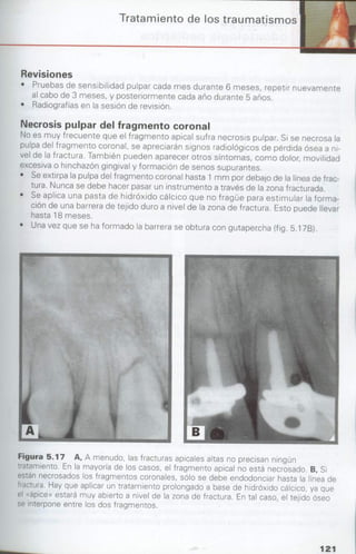 manual de odontopediatria