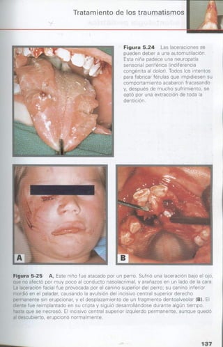 manual de odontopediatria