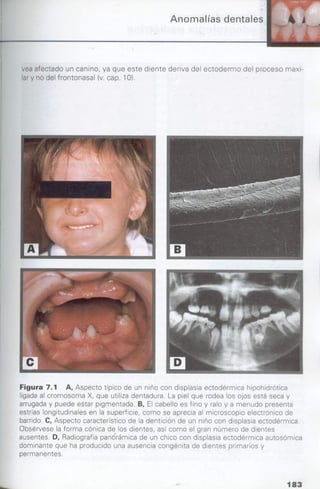 manual de odontopediatria