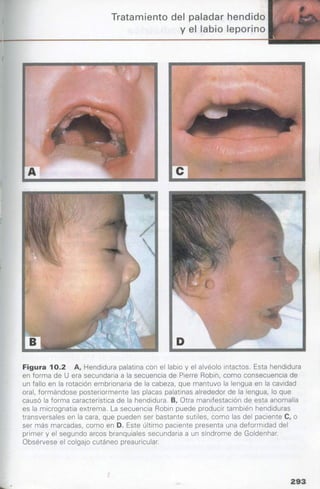 manual de odontopediatria