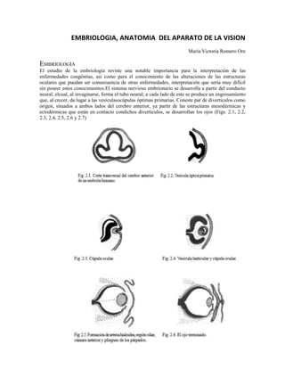 EMBRIOLOGIA, ANATOMIA DEL APARATO DE LA VISION
María Victoria Romero Ore
EMBRIOLOGÍA
El estudio de la embriología reviste una notable importancia para la interpretación de las
enfermedades congénitas, así como para el conocimiento de las alteraciones de las estructuras
oculares que puedan ser consecuencia de otras enfermedades, interpretación que sería muy difícil
sin poseer estos conocimientos.El sistema nervioso embrionario se desarrolla a partir del conducto
neural, elcual, al invaginarse, forma el tubo neural; a cada lado de este se produce un engrosamiento
que, al crecer, da lugar a las vesículasocúpulas óptimas primarias. Coneste par de divertículos como
origen, situados a ambos lados del cerebro anterior, ya partir de las estructuras mesodérmicas y
ectodérmicas que están en contacto condichos divertículos, se desarrollan los ojos (Figs. 2.1, 2.2,
2.3, 2.4, 2.5, 2.6 y 2.7)
 