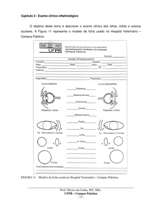 _____________________________________________________________________________________
Prof. Olicies da Cunha, MV, MSc.
UFPR – Campus Palotina
- 13 -
Capítulo 2 - Exame clínico oftalmológico
O objetivo deste tema é descrever o exame clínico dos olhos, órbita e anexos
oculares. A Figura 11 representa o modelo de ficha usado no Hospital Veterinário –
Campus Palotina.
FIGURA 11 Modelo de ficha usada no Hospital Veterinário – Campus Palotina.
 