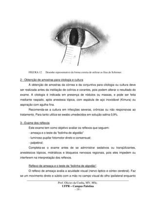 _____________________________________________________________________________________
Prof. Olicies da Cunha, MV, MSc.
UFPR – Campus Palotina
- 19 -
FIGURA 12 Desenho representativo da forma correta de utilizar as fitas de Schirmer.
2 - Obtenção de amostras para citologia e cultura
A obtenção de amostras da córnea e da conjuntiva para citologia ou cultura deve
ser realizada antes da instilação de colírios e corantes, pois podem alterar o resultado do
exame. A citologia é indicada em presença de nódulos ou massas, e pode ser feita
mediante raspado, após anestesia tópica, com espátula de aço inoxidável (Kimura) ou
aspiração com agulha fina.
Recomenda-se a cultura em infecções severas, crônicas ou não responsivas ao
tratamento. Para tanto utiliza-se swabs umedecidos em solução salina 0,9%.
3 - Exame dos reflexos
Este exame tem como objetivo avaliar os reflexos que seguem:
- ameaça e o teste da “bolinha de algodão”
- luminoso pupilar fotomotor direto e consensual;
- palpebral;
Completa-se o exame antes de se administrar sedativos ou tranqüilizantes,
anestésicos tópicos, midriáticos e bloqueios nervosos regionais, pois eles impedem ou
interferem na interpretação dos reflexos.
Reflexo de ameaça e o teste da “bolinha de algodão”.
O reflexo de ameaça avalia a acuidade visual (nervo óptico e córtex cerebral). Faz
se um movimento direto e súbito com a mão no campo visual do olho ipsilateral enquanto
 