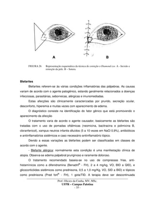 _____________________________________________________________________________________
Prof. Olicies da Cunha, MV, MSc.
UFPR – Campus Palotina
- 35 -
FIGURA 26 Representação esquemática da técnica de correção o Diamond eye. A - Incisão e
remoção da pele. B – Sutura.
Blefarites
Blefarites referem-se às várias condições inflamatórias das pálpebras. As causas
variam de acordo com o agente patogênico, estando geralmente relacionados a doenças
infecciosas, parasitárias, seborreicas, alérgicas e imunomediadas.
Estas afecções são clinicamente caracterizadas por prurido, secreção ocular,
desconforto, hiperemia e muitas vezes com aparecimento de edema.
O diagnóstico consiste na identificação do fator gênico que está promovendo o
aparecimento da afecção
O tratamento varia de acordo o agente causador, basicamente as blefarites são
tratadas com o uso de pomadas oftálmicas (neomicina, bacitracina e polimixina B,
cloranfenicol), xampus neutros infantis diluídos (5 a 10 vezes em NaCl 0,9%), antibióticos
e antiinflamatórios sistêmicos e caso necessário antiinflamatório tópico.
Devido a essas variações as blefarites podem ser classificadas em classes de
acordo com o agente.
- Blefarite alérgica: normalmente esta condição é uma manifestação clínica de
atopia. Observa-se edema palpebral pruriginoso e raramente doloroso.
O tratamento recomendado baseia-se no uso de compressas frias, anti-
histamínicos como a difenidramina (Benadril®
- FH), 2 a 4 mg/kg, VO, BID a QID), e
glicocorticóides sistêmicos como prednisona, 0,5 a 1,0 mg/Kg, VO, SID a BID) e tópicos
como prednisona (Pred fort®
- FH), 1 gota/TID. A terapia deve ser descontinuada
 