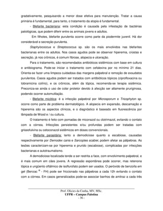 _____________________________________________________________________________________
Prof. Olicies da Cunha, MV, MSc.
UFPR – Campus Palotina
- 36 -
gradativamente, pesquisando a menor dose efetiva para manutenção. Tratar a causa
primária é fundamental, para tanto, o tratamento da atopia é fundamental.
- Blefarite bacteriana: esta condição é causada pela infestação de bactérias
patológicas, que podem diferir entre os animais jovens e adultos.
Em filhotes, blefarite purulenta ocorre como parte da piodermite juvenil. Há dor
considerável e secreção purulenta.
Staphylococcus e Streptococcus sp. são os mais envolvidos nas blefarites
bacterianas entre os adultos. Nos casos agudos pode se observar hiperemia, crostas e
secreção, já nos crônicos, é comum fibrose, alopecia e ulceração.
Para o tratamento, são recomendados antibióticos sistêmicos com base em cultura
e antibiograma. Pode-se iniciar o tratamento com cefalexina por no mínimo 21 dias.
Orienta-se fazer uma limpeza cuidadosa das margens palpebral e remoção de exsudatos
purulentos. Casos agudos podem ser tratados com antibióticos tópicos (ciprofloxacina ou
tobramicina colírio), e os crônicos, além da tópica, recomenda-se terapia sistêmica.
Preconiza-se ainda o uso de colar protetor devido à afecção ser altamente pruriginosa,
podendo ocorrer automutilação.
- Blefarite micótica: é a infecção palpebral por Microsporum e Tricophyton sp.
ocorre como parte de problema dermatológico. A alopecia em expansão, descamação e
hiperemia são os aspectos clínicos, e o diagnóstico é baseado em fluorescência por
lâmpada de Wood e / ou cultura.
O tratamento é feito com pomadas de miconazol ou clotrimazol, evitando o contato
com a córnea. Infecções persistentes e/ou profundas podem ser tratadas com
griseofulvina ou cetoconazol sistêmicos em doses convencionais.
- Blefarite parasitária: tanto a demodiciose quanto a escabiose, causadas
respectivamente por Demodex canis e Sarcoptes scabiei, podem afetar as pálpebras. As
lesões caracterizam-se por hiperemia e prurido (escabiose), complicadas por infecções
bacterianas e autotraumatismo.
A demodiciose localizada tende a ser restrita a face, com envolvimento palpebral, e
é mais comum em cães jovens. A regressão espontânea pode ocorrer, mas retenona
tópica e ungüento oftálmico de isoflurofato podem ser usados. O peróxido de benzoíla em
gel (Benzac ®
- FH) pode ser friccionado nas pálpebras a cada 12h evitando o contato
com a córnea. Em casos generalizados pode-se associar banhos de amitraz a cada três
 
