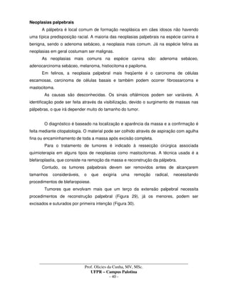 _____________________________________________________________________________________
Prof. Olicies da Cunha, MV, MSc.
UFPR – Campus Palotina
- 40 -
Neoplasias palpebrais
A pálpebra é local comum de formação neoplásica em cães idosos não havendo
uma típica predisposição racial. A maioria das neoplasias palpebrais na espécie canina é
benigna, sendo o adenoma sebáceo, a neoplasia mais comum. Já na espécie felina as
neoplasias em geral costumam ser malignas.
As neoplasias mais comuns na espécie canina são: adenoma sebáceo,
adenocarcinoma sebáceo, melanoma, histiocitoma e papiloma.
Em felinos, a neoplasia palpebral mais freqüente é o carcinoma de células
escamosas, carcinoma de células basais e também podem ocorrer fibrossarcoma e
mastocitoma.
As causas são desconhecidas. Os sinais oftálmicos podem ser variáveis. A
identificação pode ser feita através da visibilização, devido o surgimento de massas nas
pálpebras, o que irá depender muito do tamanho do tumor.
O diagnóstico é baseado na localização e aparência da massa e a confirmação é
feita mediante citopatologia. O material pode ser colhido através de aspiração com agulha
fina ou encaminhamento de toda a massa após excisão completa.
Para o tratamento de tumores é indicado à ressecção cirúrgica associada
quimioterapia em alguns tipos de neoplasias como mastocitomas. A técnica usada é a
blefaroplastia, que consiste na remoção da massa e reconstrução da pálpebra.
Contudo, os tumores palpebrais devem ser removidos antes de alcançarem
tamanhos consideráveis, o que exigiria uma remoção radical, necessitando
procedimentos de blefaropoiese.
Tumores que envolvam mais que um terço da extensão palpebral necessita
procedimentos de reconstrução palpebral (Figura 29), já os menores, podem ser
excisados e suturados por primeira intenção (Figura 30).
 