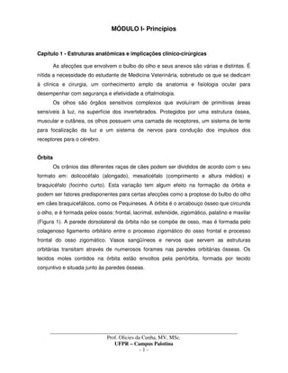 _____________________________________________________________________________________
Prof. Olicies da Cunha, MV, MSc.
UFPR – Campus Palotina
- 1 -
MÓDULO I- Princípios
Capítulo 1 - Estruturas anatômicas e implicações clínico-cirúrgicas
As afecções que envolvem o bulbo do olho e seus anexos são várias e distintas. É
nítida a necessidade do estudante de Medicina Veterinária, sobretudo os que se dedicam
à clínica e cirurgia, um conhecimento amplo da anatomia e fisiologia ocular para
desempenhar com segurança e efetividade a oftalmologia.
Os olhos são órgãos sensitivos complexos que evoluíram de primitivas áreas
sensíveis à luz, na superfície dos invertebrados. Protegidos por uma estrutura óssea,
muscular e cutânea, os olhos possuem uma camada de receptores, um sistema de lente
para focalização da luz e um sistema de nervos para condução dos impulsos dos
receptores para o cérebro.
Órbita
Os crânios das diferentes raças de cães podem ser divididos de acordo com o seu
formato em: dolicocéfalo (alongado), mesaticéfalo (comprimento e altura médios) e
braquicéfalo (focinho curto). Esta variação tem algum efeito na formação da órbita e
podem ser fatores predisponentes para certas afecções como a proptose do bulbo do olho
em cães braquicefálicos, como os Pequineses. A órbita é o arcabouço ósseo que circunda
o olho, e é formada pelos ossos: frontal, lacrimal, esfenóide, zigomático, palatino e maxilar
(Figura 1). A parede dorsolateral da órbita não se compõe de osso, mas é formada pelo
colagenoso ligamento orbitário entre o processo zigomático do osso frontal e processo
frontal do osso zigomático. Vasos sangüíneos e nervos que servem as estruturas
orbitárias transitam através de numerosos forames nas paredes orbitárias ósseas. Os
tecidos moles contidos na órbita estão envoltos pela periórbita, formada por tecido
conjuntivo e situada junto às paredes ósseas.
 