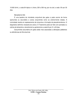 _____________________________________________________________________________________
Prof. Olicies da Cunha, MV, MSc.
UFPR – Campus Palotina
- 50 -
10.000 UI/mL, a cada 8h tópico e L-lisina, 230 a 500 mg, por via oral, a cada 12h por 30
dias.
Mycoplasma felis
É uma bactéria da microbiota conjuntival dos gatos e pode ocorrer de forma
oportunista ou secundária a outras conjuntivites como as anteriormente citadas. A
cronicidade resulta em espessamento da conjuntiva e formação de pseudomembrana. O
diagnóstico definitivo necessita de cultura. O Tratamento pode ser feito com pomadas ou
colírios de tetraciclina, cloranfenicol ou gentamicina a cada 6h por 21 a 30 dias.
Conjuntivites secundária em gatos estão mais associadas a alterações palbebrais
ou deficiências do filme lacrimal.
 