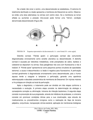 _____________________________________________________________________________________
Prof. Olicies da Cunha, MV, MSc.
UFPR – Campus Palotina
- 54 -
Se a lesão não corar o centro, uma descemetocele se estabeleceu. O estroma foi
totalmente danificado e a lesão apresenta a membrana de Descemet ao centro. Observa-
se então uma área edematosa na córnea com centro claro. Se a membrana se tornar
afilada ou aumentar a pressão intra-ocular pode formar uma “hérnia”, condição
denominada descemetocele (Figura 38).
FIGURA 38 Esquema representativo da descemetocele. A - corte frontal. B – corte sagital.
Distrofia corneal, “Flórida spots”, e perfuração corneal são comumente
diagnosticadas erroneamente como ceratite ulcerativa ou descemetocele. A distrofia
corneal é causada por distúrbios metabólicos, onde precipitados de cálcio, lipídeos e
colesterol se depositam na córnea. Esta patogênese não cora com fluoresceína e não é
tratável. A “Flórida spots” apresenta-se como pequenos pontos circulares de opacidades
estromal, a causa é desconhecida e a lesão é negativa para fluoresceína. A perfuração
corneal geralmente é diagnosticada erroneamente como descemetocele, pois o humor
aquoso tende a coagular e tamponar a perfuração, gerando uma aparência
esbranquiçada e abaulada característica da membrana de Descemet. Em injúrias maiores
a íris prolapsa em direção ao local da perfuração.
Após o diagnóstico, o tratamento pode ser dividido em três etapas conforme a
necessidade e evolução. A primeira etapa consiste na determinação da etiologia e
conseqüente correção ou eliminação, inclusive de infecção bacteriana. A segunda etapa
consiste na prevenção de sua progressão, através de inibidores de proteases, e a terceira
consiste em promover condições ótimas para a sua cicatrização, seja através de
medicamentos ou procedimentos cirúrgicos como a realização de flaps de terceira
pálpebra, conjuntivais, transposição córneo-escleral, aplicação de membranas biológicas
 