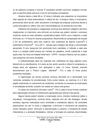 _____________________________________________________________________________________
Prof. Olicies da Cunha, MV, MSc.
UFPR – Campus Palotina
- 55 -
ou de adesivos cirúrgicos e suturas. É necessário também promover analgesia corneal,
pois a superfície desta estrutura é rica em terminações nociceptivas.
Atropina tópica a cada 08 ou 12 horas é indicada, pois espasmos na musculatura
ciliar seguido de miose potencializam o reflexo de dor. A atropina relaxa a musculatura,
promovendo alívio da dor, além de prevenir a formação de sinéquias anteriores devido à
uveíte secundária ou reflexa. Seu uso é recomendado por um período de cinco dias.
Inibidores de proteases e colagenases (enzimas que destroem colágeno) são bons
coadjuvantes no tratamento, pois eliminam as enzimas que podem retardar o processo
cicatricial, sendo os mais utilizados a acetilcisteína tópica, EDTA, soro e heparina, a cada
6-8 horas, ou 1-2 horas em úlceras progressivas. Recomenda-se a preparação de solução
a 5% de acetilcisteína, para isso, pode-se usar substitutos da lágrima (Lacrima®
) e
aceticilsteína (Fluimucil®
- 10 ou 20 % - solução para inalação) até atingir a concentração
apropriada. O soro sanguíneo tem promovido bons resultados, é indicado a cada seis
horas e a solução estéril precisa ser mantida em geladeira, sendo substituída a cada
quatro dias. Na rotina do Hospital Veterinário – UFPR – Campus Palotina, tem-se usado o
soro sanguíneo com bons resultados.
A antibioticoterapia deve ser realizada com antibióticos de largo espectro como
tobramicina ou ciprofloxacina, 3-4 vezes ao dia, porém quando a úlcera for progressiva, a
terapia deve ser agressiva, com aplicações a cada 1-2 horas. Estudos recentes
demonstraram que o Triticum vulgare (Bandvet®
- FV), a cada 12 horas produz
excelentes resultados.
A regeneração da córnea somente continua otimizada se a alimentação com
nutrientes completos for providenciada. Entre outros fatores, as vitaminas A e C têm
papéis importantes no crescimento de ceratócitos, auxiliando no processo de cicatrização
e remodelação da ferida, e podem ser usados em casos mais graves.
O sulfato de condroitina (Dunason colírio®
- FH) a cada 8 horas fornece substrato
para regeneração corneal e é medicamento apropriado para úlceras mais graves.
Alguns fatores podem retardar a cicatrização como, irritantes mecânicos (pêlos e
exsudatos), microrganismos, enzimas líticas, materiais com pH não fisiológico, tensão
osmótica, algumas medicações como corticóides e anestésicos tópicos. Os corticóides
potencializam em até 14 vezes a colagenase, e diminuem o mecanismo de resistência
contra infecções, porém, diminuem a vascularização e, portanto, o transporte de células
inflamatórias e a atividade fibroblástica, inibindo a formação de cicatrizes hipertrofiadas,
 