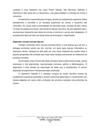 _____________________________________________________________________________________
Prof. Olicies da Cunha, MV, MSc.
UFPR – Campus Palotina
- 64 -
condição é mais freqüente nas raças Pastor Alemão, São Bernardo, Dálmata e
Dachshund. Não causa dor ou desconforto, mas pode predispor a infecção da córnea e
conjuntiva.
O tratamento é essencialmente cirúrgico, através de ceratectomia superficial. Neste
procedimento o dermóide e as camadas superficiais da córnea e conjuntiva são
removidos. Em casos onde a profundidade do dermóide exigir remoção de pelo menos
um terço da espessura corneal, recomenda-se flap de conjuntiva. No pós operatório deve-
se prescrever tratamento para úlcera de córnea e incentivar o uso de colar elisabetano. O
procedimento deve ser feito com boas fontes de iluminação e magnificação.
Sequestro corneal (cornea nigrum)
Também conhecida como necrose corneana felina, é uma doença que não tem a
etiologia conhecida, porém ela tem ocorrido, em geral após doença inflamatória ou
ulcerativa crônica. Herpesvirus felis pode ser uma causa freqüente de ceratite inicial e
passos apropriados são tomados para tratar essa infecção previamente ao tratamento do
processo necrótico.
Os principais sinais clínicos são lesão corneana focal e preto-amarronzada, córnea
necrosada e não pigmentada, vascularização corneana, epífora e blefarospasmo. O
diagnóstico é feito através da observação da lesão que é característica. É comum
deposição de pigmentos e neovascularização acentuada.
O tratamento indicado é a remoção cirúrgica do tecido necrótico através de
ceratectomia superficial associada a enxerto conjuntival pediculado ou recobrimento com
terceira pálpebra em casos onde a remoção não envolveu camadas mais profundas da
córnea.
 
