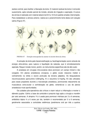 _____________________________________________________________________________________
Prof. Olicies da Cunha, MV, MSc.
UFPR – Campus Palotina
- 76 -
esclera ventral, para facilitar a liberação da lente. O material residual da lente é removido
suavemente, após oclusão parcial da incisão, através de irrigação e aspiração. A sutura
da córnea é realizada com material absorvível 8-0 a 10-0 em padrão simples interrompido.
Para restabelecer a câmara anterior, realiza-se o preenchimento lento desta com solução
salina (Figura 47).
FIGURA 47 Extração extracapsular da catarata via incisão direta da córnea.
A extração da lente pela facoemulsificação ou facofragmentação ocorre através da
energia ultra-sônica, para ruptura e liquefação da catarata, que é simultaneamente
aspirada. Requer incisão menor, porém, os instrumentos específicos são de alto custo.
A anestesia em cirurgias intra-oculares deve promover um campo imóvel e não
congesto. Em planos anestésicos cirúrgicos, o globo ocular rotaciona medial e
ventralmente na órbita e ocorre protrusão da terceira pálpebra. Os bloqueadores
neuromusculares (pancurônio 0,06mg/Kg, IV e vecurônio 0,1mg/Kg, IV) são utilizados
para esses propósitos durante a manutenção anestésica, promovendo relaxamento da
musculatura extra-ocular e centralização do globo, evitando-se o uso de planos
anestésicos muito aprofundados.
Os cuidados pós-operatórios são críticos e visam reduzir a inflamação e manter o
diâmetro pupilar. Colírio a base de corticóide é prescrito logo após a cirurgia e mantêm
por seis semanas. A atropina 1% é usada para promover midríase por 3 a 6 semanas,
antibiótico tópico 4 a 6 vezes por dia, também é recomendado por 3 a 6 semanas,
geralmente associados a corticóides sistêmicos (prednisona oral por três a quatros
 
