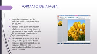 FORMATO DE IMAGEN.
 Las imágenes pueden ser de
muchos formatos diferentes: bmp,
gif, jpg, etc.
 Pero no todos estos formatos son
adecuados para una web, debido a
que pueden ocupar mucha memoria
o a que no son compatibles con
algunos navegadores.
 Los formatos más utilizados son el
GIF y el JPG, que a pesar de ser
imágenes de menor calidad que las
imágenes BMP, son más
recomendables debido a que ocupan
menos memoria.
 